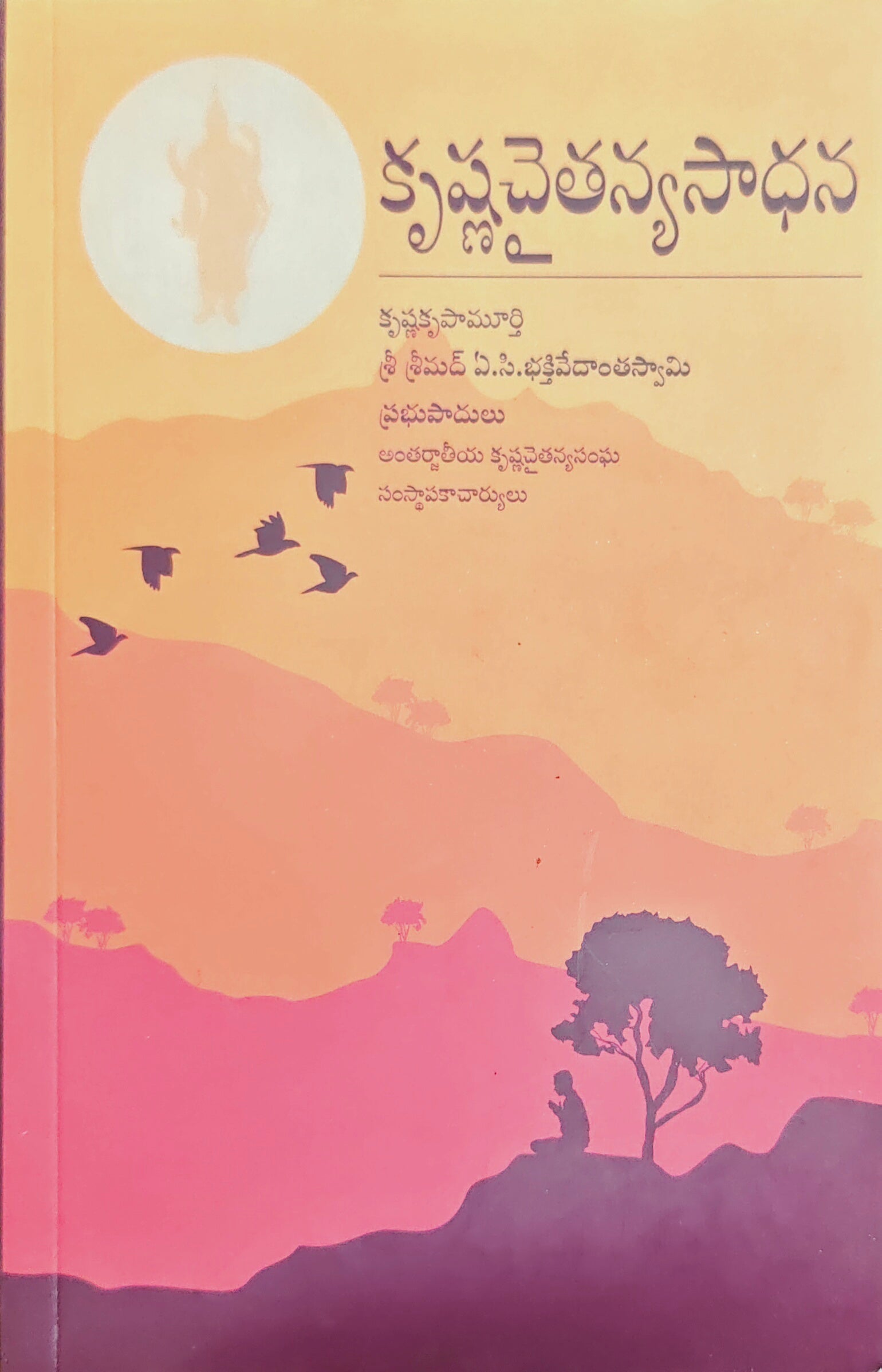 కృష్ణ చైతన్య సాధన Elevation to Krishna Consciousness